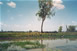Kakadu