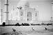 Taj Mahal Gardeners